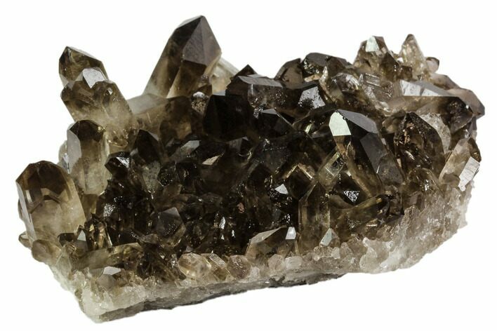 Dark Smoky Quartz Crystal Cluster - Brazil #106968